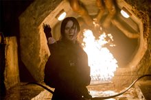 The Hunger Games: Mockingjay Part 2 - The IMAX Experience - Photo Gallery