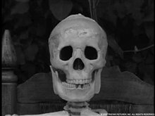 The Lost Skeleton of Cadavra - Photo Gallery