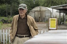 The Mule - Photo Gallery
