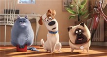 The Secret Life of Pets: An IMAX 3D Experience - Photo Gallery
