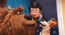 The Secret Life of Pets: An IMAX 3D Experience - Photo Gallery