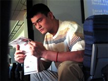 The Year of the Yao - Photo Gallery