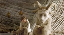 Where the Wild Things Are: The IMAX Experience - Photo Gallery