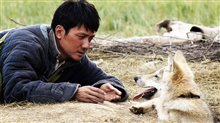 Wolf Totem 3D - Photo Gallery