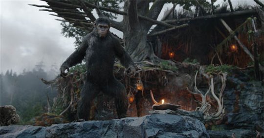 Dawn of the Planet of the Apes 3D - Photo Gallery