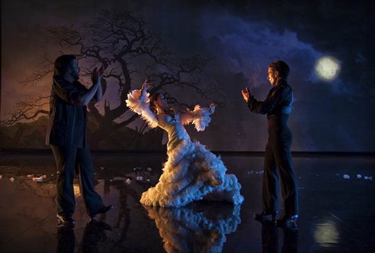 Flamenco, Flamenco - Photo Gallery