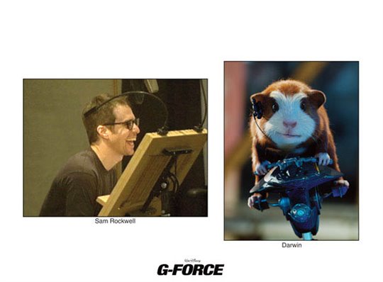 G-Force in Disney Digital 3D - Photo Gallery
