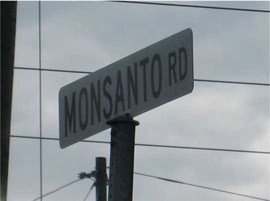 The World According to Monsanto - Photo Gallery