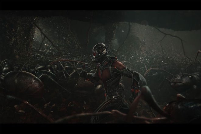 Ant-Man 3D - Photo Gallery
