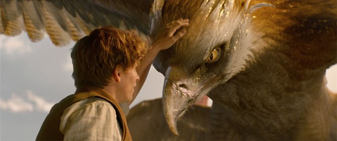 Fantastic Beasts and Where to Find Them: An IMAX 3D Experience - Photo Gallery