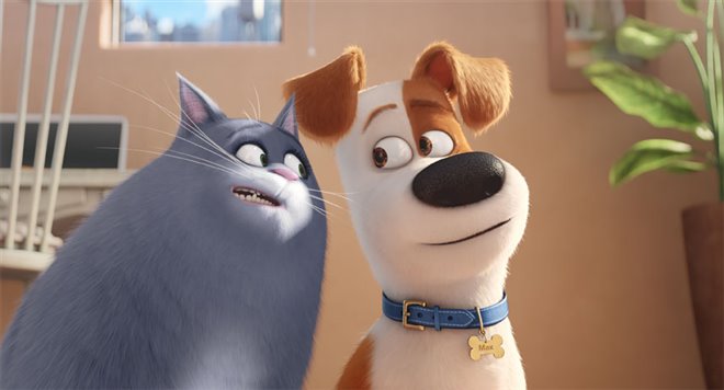 The Secret Life of Pets 3D - Photo Gallery