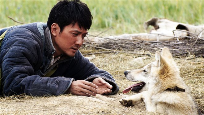 Wolf Totem: An IMAX 3D Experience - Photo Gallery