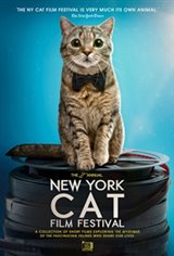 2019 NY Cat Film Festival Movie Poster