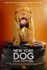 2019 NY Dog Film Festival Movie Poster