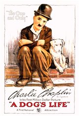 A Dog's Life Movie Poster