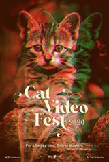 Cat Video Fest 2020 Movie Poster