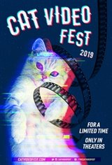 CatVideoFest 2016 co-presented with Alley Cat Allies Movie Poster