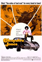 Cleopatra Jones Movie Poster