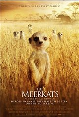 The Meerkats Movie Poster