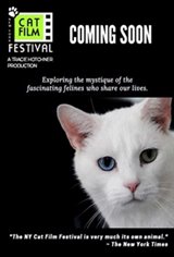 NY Cat Film Festival Program 1 Movie Poster