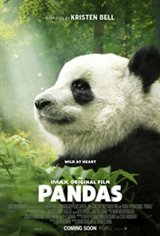 Pandas 3D Movie Poster