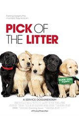 Pick of the Litter Movie Poster