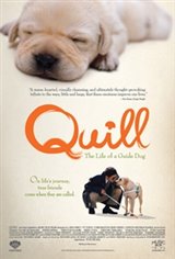 Quill: The Life of a Guide Dog Movie Poster