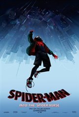 Spider-Man: Into the Spider-Verse 3D Movie Poster