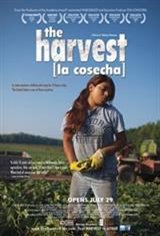 The Harvest (La cosecha) Movie Poster