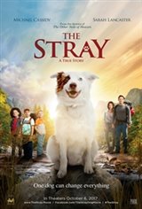 The Stray Movie Poster