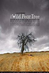 The Wild Pear Tree Movie Poster