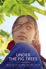 Under the Fig Trees Movie Poster