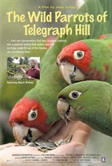 Wild Parrots of Telegraph Hill Movie Poster