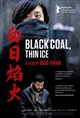 Black Coal, Thin Ice (Bai ri yan huo) Movie Poster