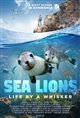 Sea Lions: Life by a Whisker 3D Movie Poster
