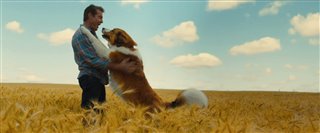 'A Dog's Journey' Trailer