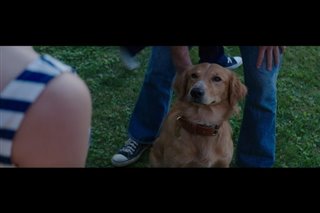 A Dog's Purpose Movie Clip - "Bailey Notices Smell"