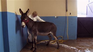 Do Donkeys Act? Trailer