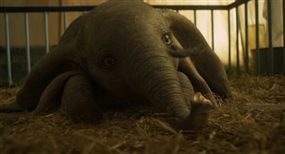 'Dumbo' Movie Clip - "Blow"