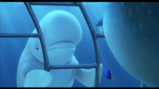 Finding Dory movie clip - "You Are A Beluga"