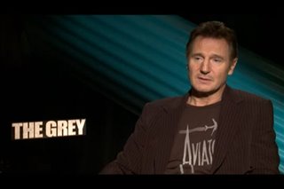 Liam Neeson (The Grey)