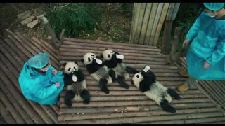 Pandas - Teaser Trailer