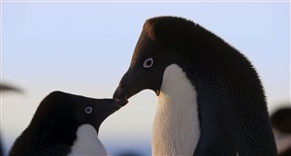 'Penguins' Movie Clip - "Meet Adeline"