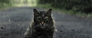 'Pet Sematary' Trailer