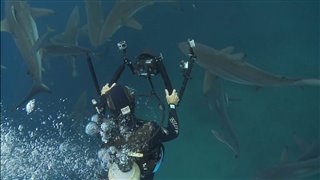 'Sharkwater Extinction' Cast Interviews