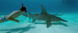 'Sharkwater Extinction' Trailer #1