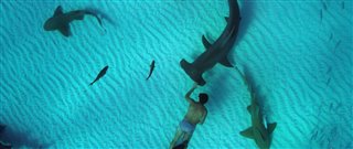 'Sharkwater Extinction' Trailer #2
