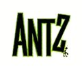 Antz - Photo Gallery