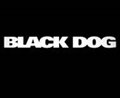 Black Dog - Photo Gallery