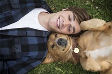 A Dog's Purpose - Photo Gallery